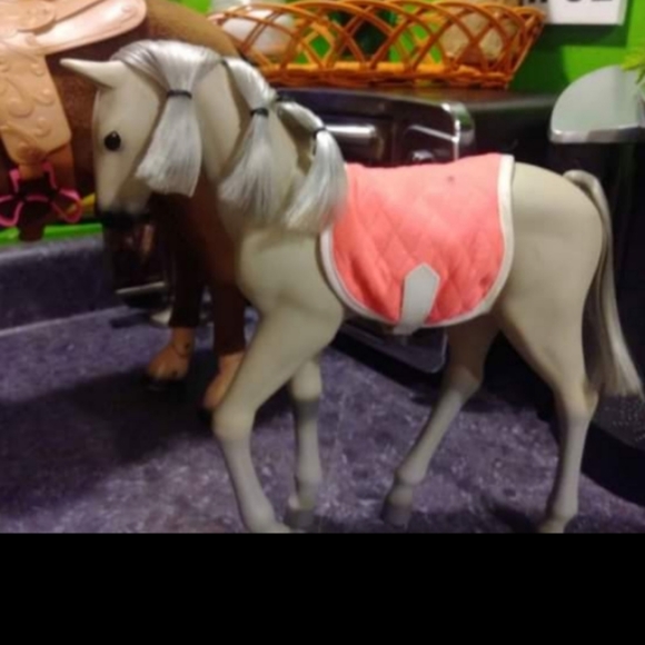 2 MY GENERATION FEMALE FOALS - Picture 5 of 5